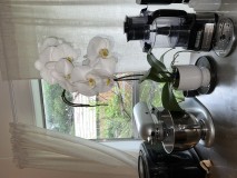 07AE7239-A15A-4AE2-8656-11DB78A5305F