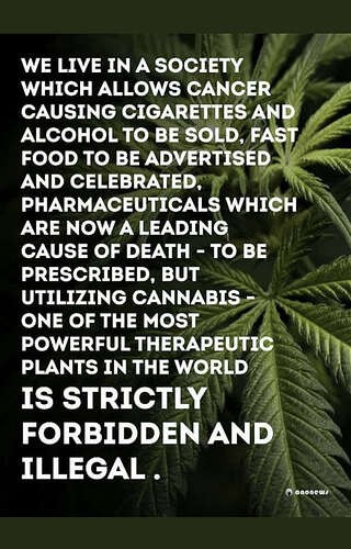 3071c393a3a0f5f2007fbc5574553304b869d034_2_320x500