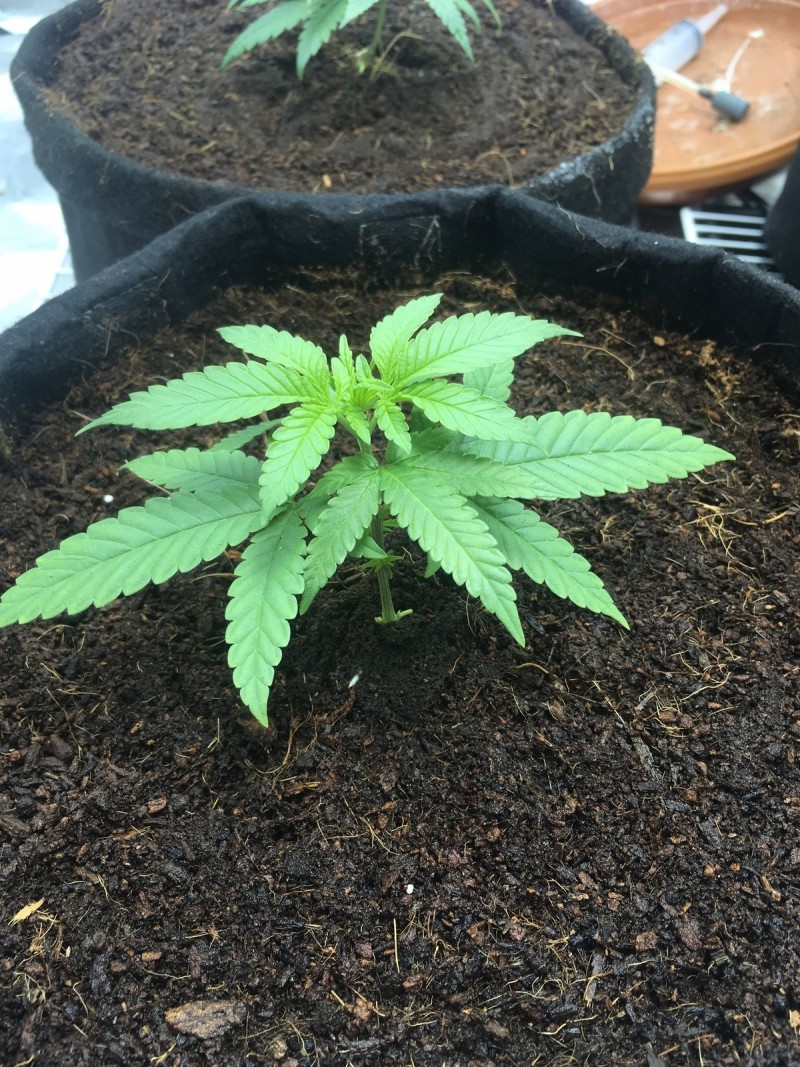 883A6AC3-73F7-4CE1-9FC1-477A358AB04B