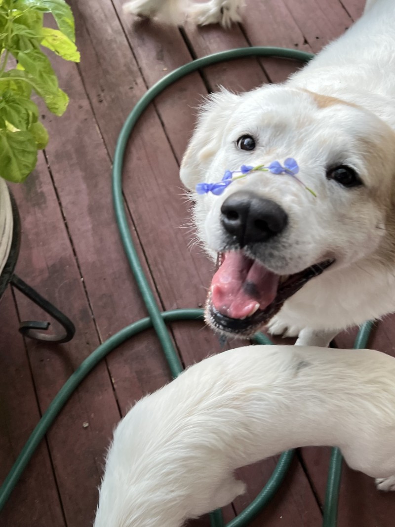 478243A5-7343-4870-9A33-AB201CE3B12E