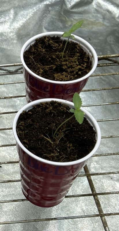 783DD985-D707-4D75-A379-272EA0278AC6