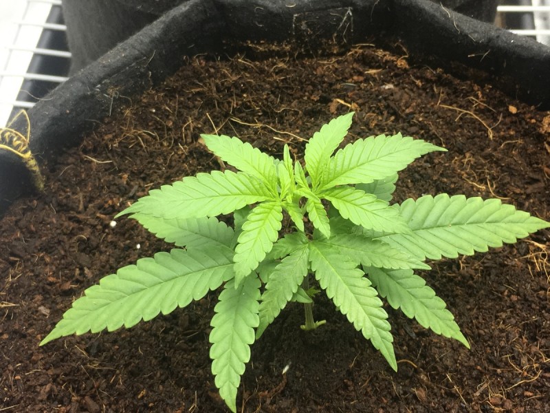 72099F4E-B437-4087-B745-0BCD0FF3D2BF