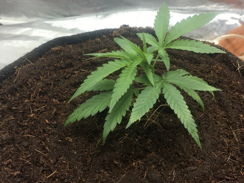 78D12AA2-A064-40D1-8FF2-0CCE912E04C2