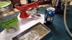 1684465912682793768333527661908