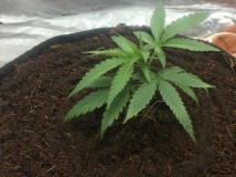 4A1B07A9-B4D9-442E-AEE4-071FE4401AC4