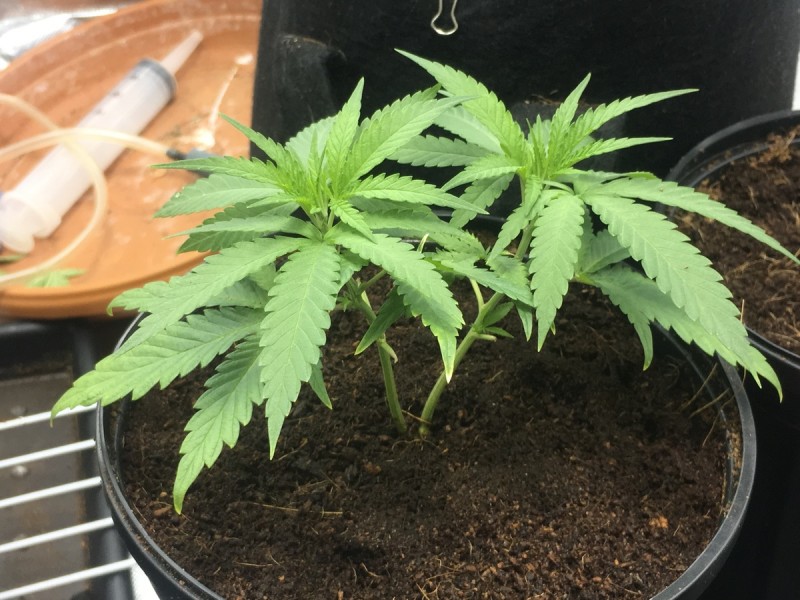 1287D1EF-7AC4-4D90-BF00-1488A148A943