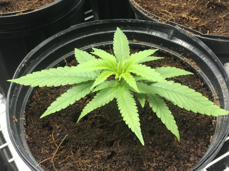 279FA855-30EB-41E9-9B2E-DEE0304B7A41