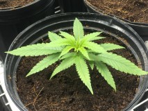 279FA855-30EB-41E9-9B2E-DEE0304B7A41