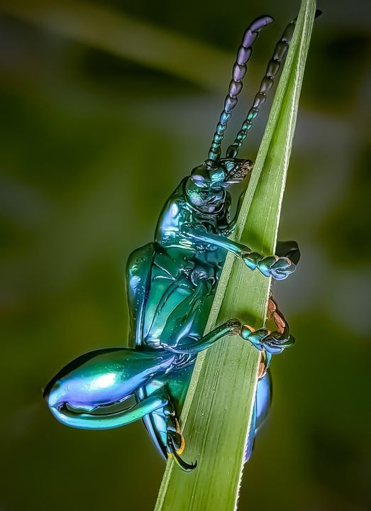 337258014_1154389065240163_1327613295946762533_n