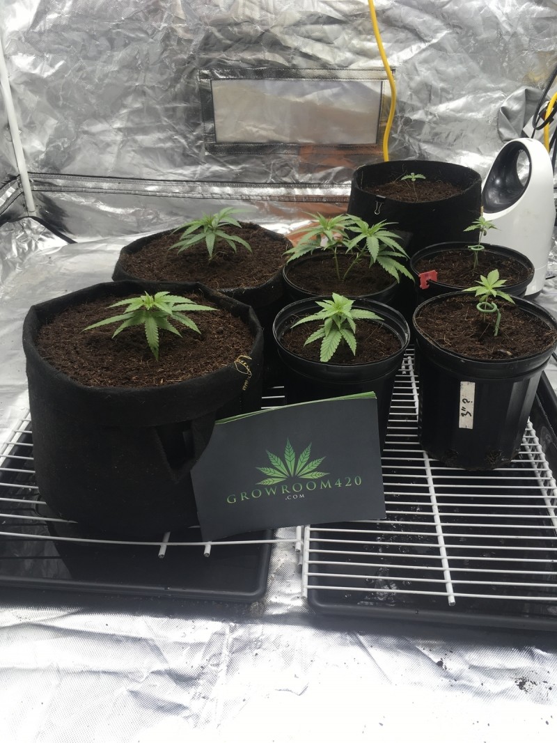 215114B9-E3E3-403A-8B01-57002AF4E4F5