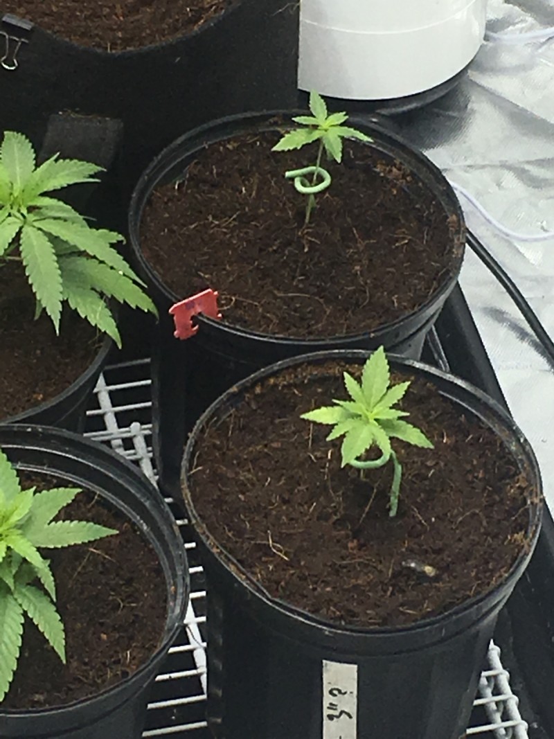 E453554E-2B21-4182-B586-0CD55ED53B27