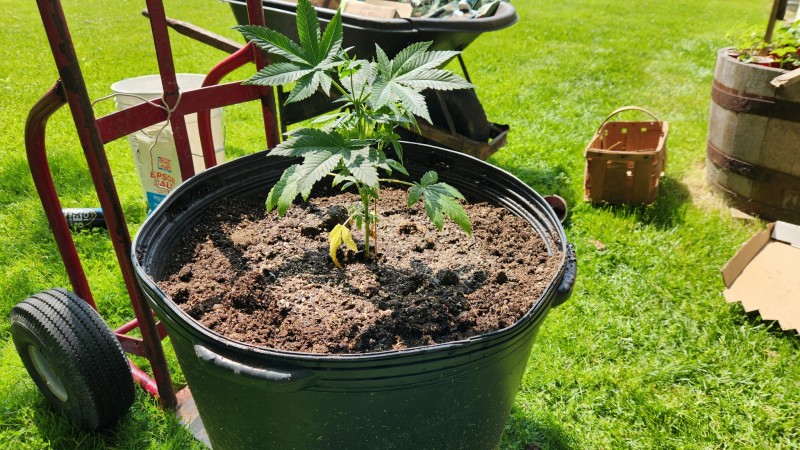 16846973868235686924952661637602