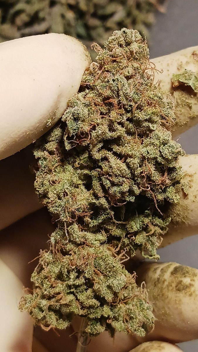 signal-2023-05-22-16-24-05-470