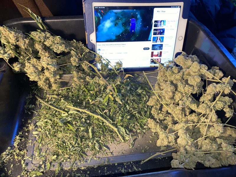 A7AA841E-696D-4366-9356-6837E6870748