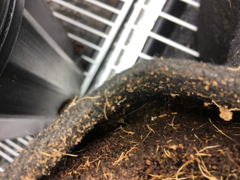 CEEB9B44-5E93-4B4F-A919-4C281CACAD00