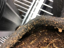 CEEB9B44-5E93-4B4F-A919-4C281CACAD00