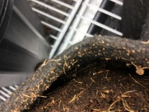 830D9FA2-7E31-4282-8408-6DE9AA8E18AC