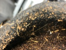 C43AC69B-A686-497D-B470-D03E095FAE71