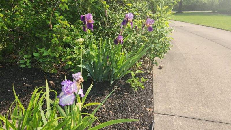 16848488356309090466589616238362