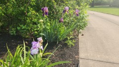 16848488356309090466589616238362