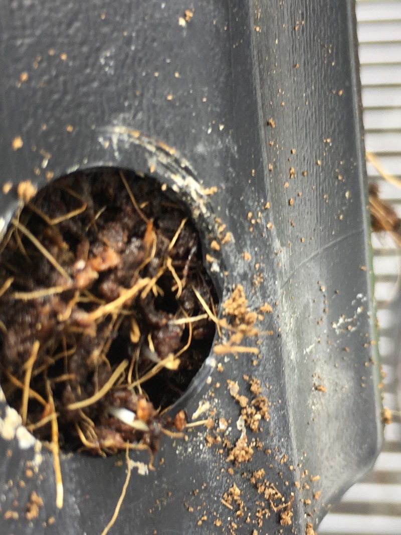 94FA335B-0E77-4068-8501-259379D524F6