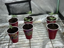 B39A5F15-377E-4F28-BDEA-AED46E8B39A9