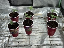 A023032C-59AD-40E7-8BE5-51791C770C2D