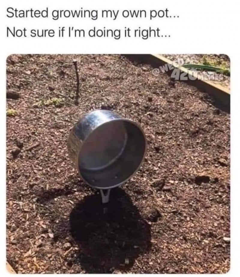 Screenshot_20230522_123622_Facebook