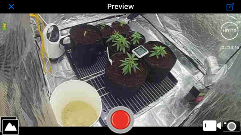 9E616151-1D88-4BF8-B0CF-7A840BECB75F