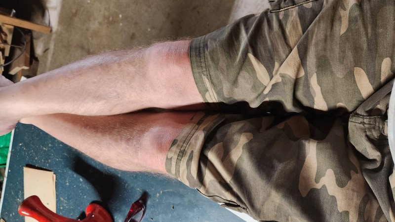 1684971686314562132307693826904