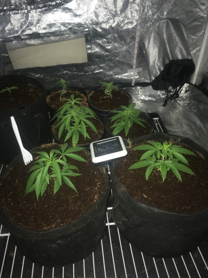 39B55511-460E-4E09-9AE6-8B5BC9AFEC3F