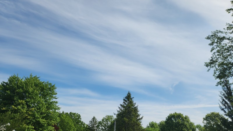 16850214123535583296385634264665