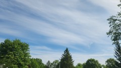 16850214123535583296385634264665