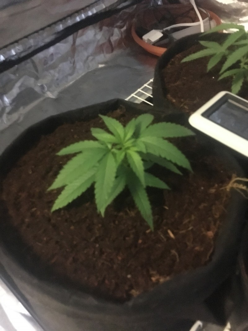 DC6B330F-EE50-4041-8F68-FCDB741441C9