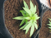 9100E464-9A42-44F6-A92A-34A6B3DA5510