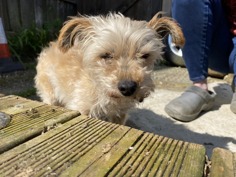 993433B3-C745-4971-B104-94A4E69C5650