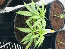 324FA1EA-529B-4D13-8C84-D0F10CDA0504