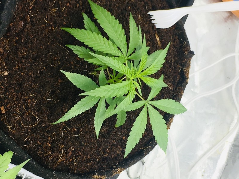 21B98552-E929-4645-BE98-4781AEA54C5D