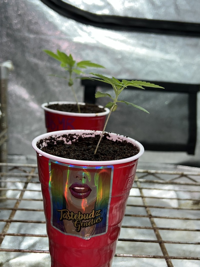 3E02807A-6F0B-47AF-B814-59F743D234AC