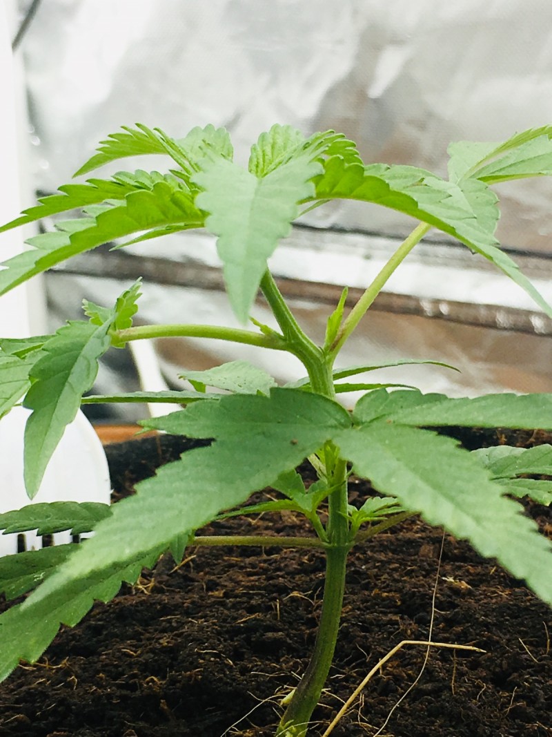 983A7A12-6A03-4B4B-B6EE-F26DA3FFEB25