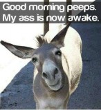 38cdd79d9d2b6d4364fb4993cdfe8803f98825e8_2_457x500