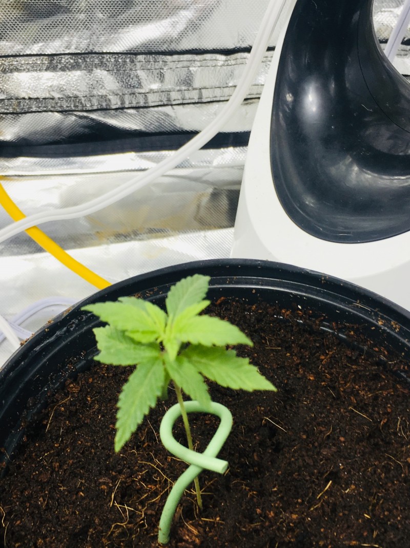 1E62CBC1-DC44-429C-B9E2-54C2A06A1425