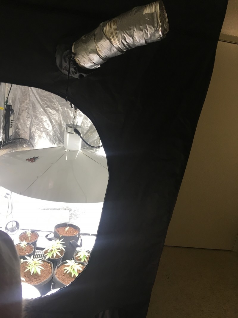 DE2F9EE7-2704-4846-86AC-56EE3B01E849