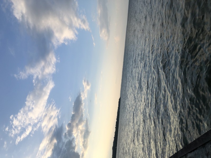 BF7AD206-0B85-46A3-BF26-4B2FFFACAAC1