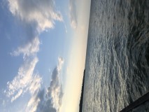 BF7AD206-0B85-46A3-BF26-4B2FFFACAAC1