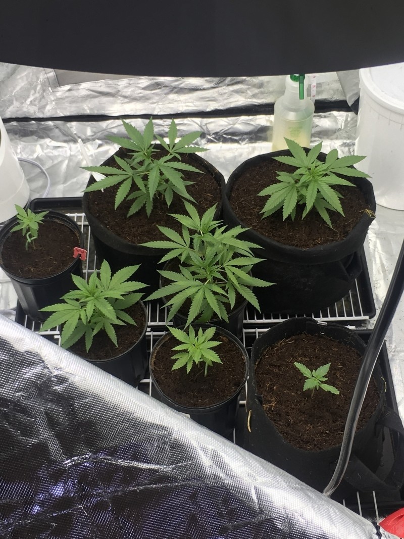 7D4E5DA0-F697-4044-9A9F-9DBDBF220C93