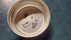 16855676771348500717878970817621