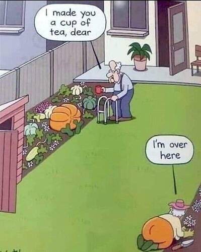 8793e4f63de998dbe86a3baddd5e51a84ebe946f_2_399x500