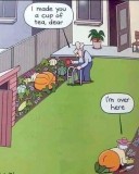 8793e4f63de998dbe86a3baddd5e51a84ebe946f_2_399x500