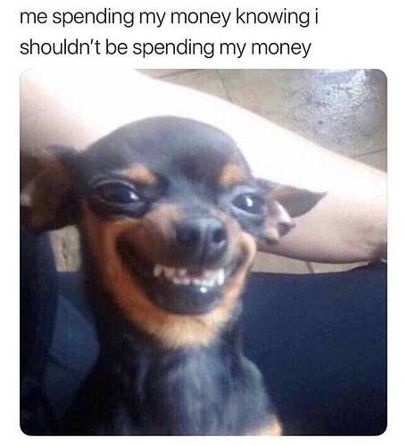 a0e7782ae30ef6f8a2ddc32a84ff51d651b2c4c5_2_456x499